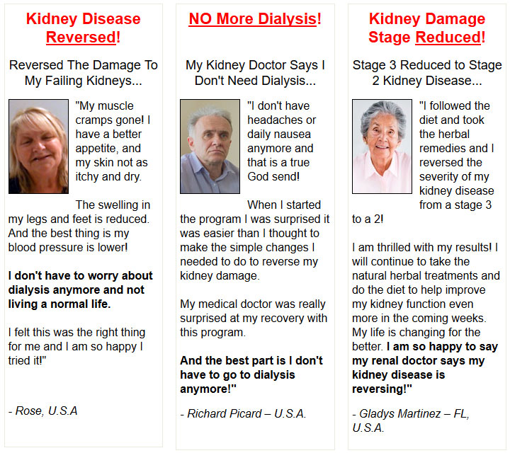 heal kidney disease review function